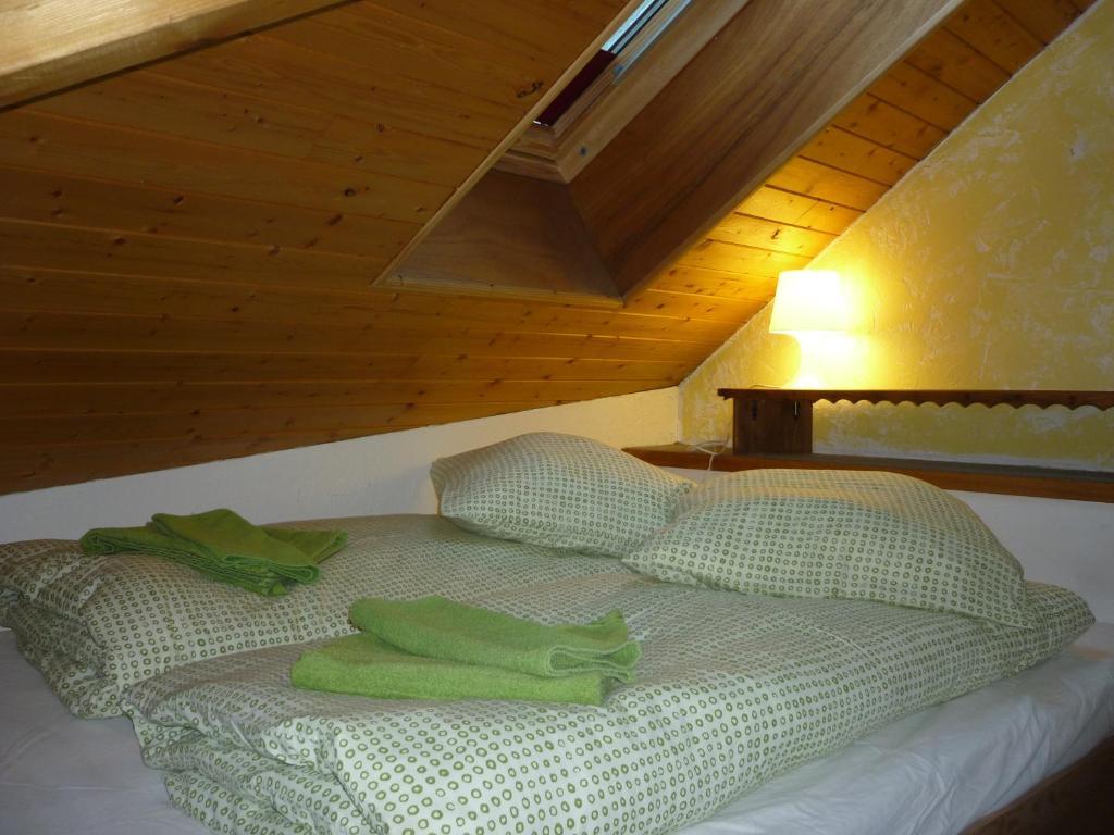 Apartment 13 Lou Veno Les Deux Alpes